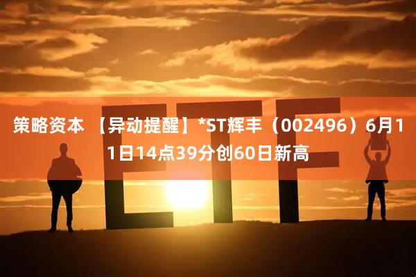 策略资本 【异动提醒】*ST辉丰（002496）6月11日14点39分创60日新高