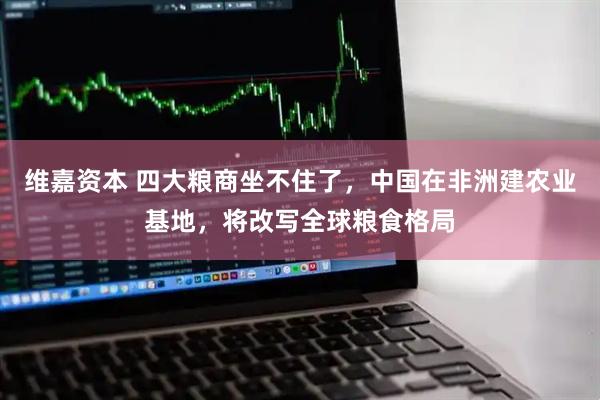 维嘉资本 四大粮商坐不住了，中国在非洲建农业基地，将改写全球粮食格局