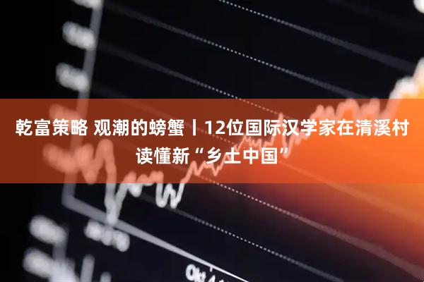 乾富策略 观潮的螃蟹丨12位国际汉学家在清溪村读懂新“乡土中国”