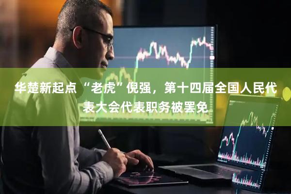 华楚新起点 “老虎”倪强，第十四届全国人民代表大会代表职务被罢免