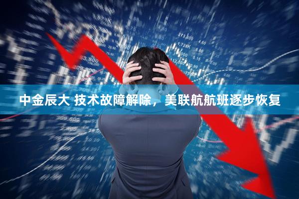 中金辰大 技术故障解除，美联航航班逐步恢复