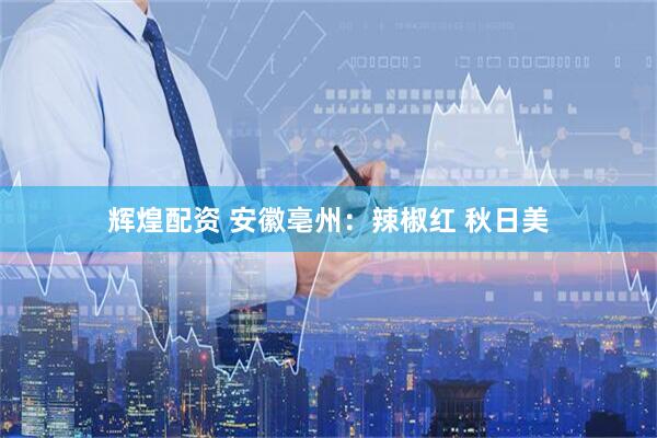 辉煌配资 安徽亳州：辣椒红 秋日美