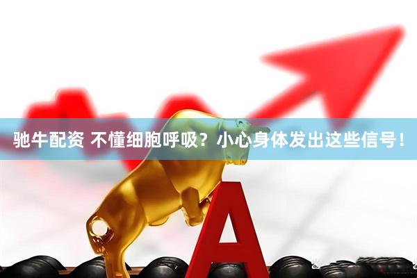 驰牛配资 不懂细胞呼吸？小心身体发出这些信号！