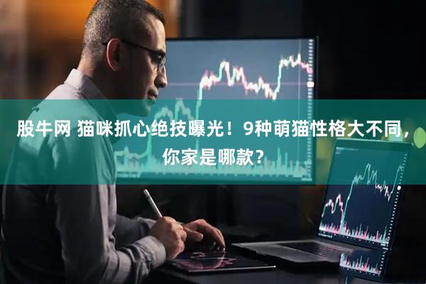 股牛网 猫咪抓心绝技曝光！9种萌猫性格大不同，你家是哪款？
