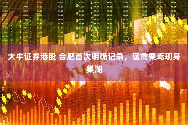 大牛证券港股 合肥首次明确记录，猛禽栗鸢现身巢湖