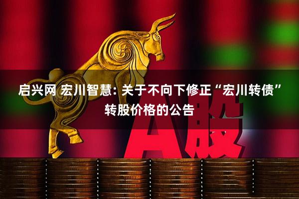 启兴网 宏川智慧: 关于不向下修正“宏川转债”转股价格的公告